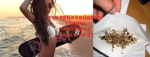 дмт Богородицк