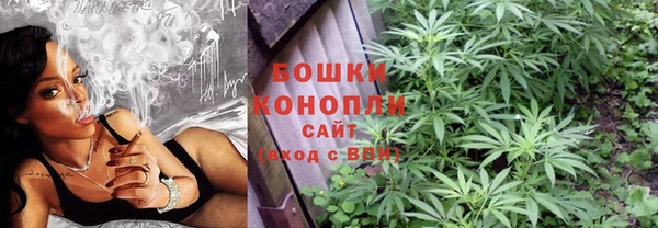 мдпв Богданович