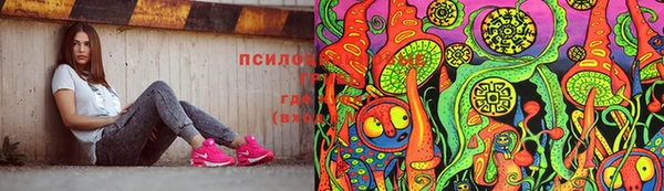 дмт Богородицк