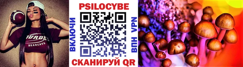 Псилоцибиновые грибы Cubensis Волжск